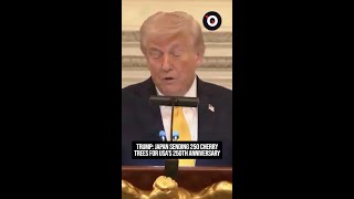 Trump: Japan sending 250 cherry trees for USA's 250th anniversary