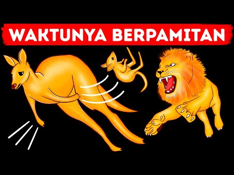 Video: Knights: 9 Fakta Menarik Yang Akan Membantu Anda Memandangnya Dari Sudut Yang Berbeda - Pandangan Alternatif