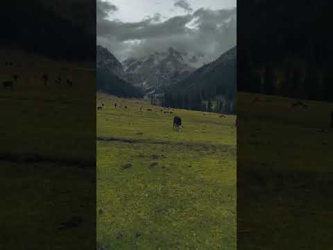 "Enchanted Earthscapes: Unveiling Nature's Timeless Tapestry. - YouTube