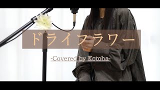 ドライフラワー / 優里【Covered by Kotoha】