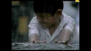 Lead India - The Tree