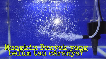 MEMBUAT GELEMBUNG AIR PADA POMPA AQUARIUM