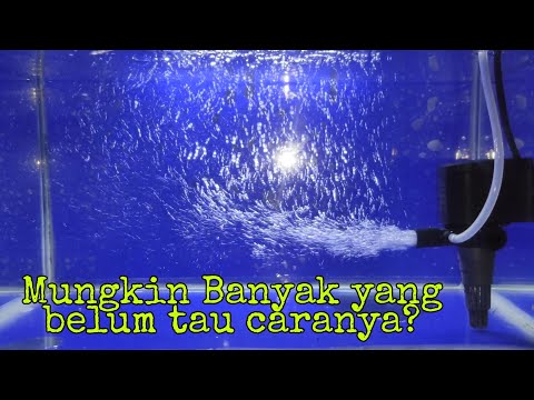Video: Kompresor paling tenang untuk akuarium. Kompresor diam DIY untuk akuarium