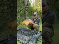 Making off “Carpa specchi” “Maggioinmincio” #carpfishing #pescasub #fishing #carp