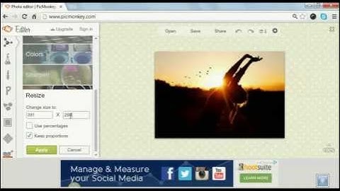 Editing a picture using picmonkey - Internet marketing tutorial by Tintin Papio