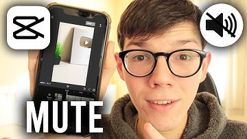 How To Mute Video In CapCut - Full Guide