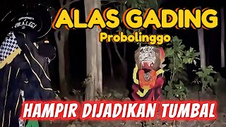 LUKMAN HAMPIR DIJADIIN TUMBAL RITUAL!! Alas gading probolinggo