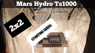 Mars Hydro Ts1000 Ep1 - Seed starters