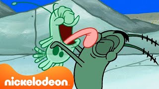 Bob Esponja | ¡Gary y Manchitas viven aventuras animales! | Nickelodeon en Español by Nickelodeon en Español 26,772 views 6 days ago 9 minutes, 24 seconds