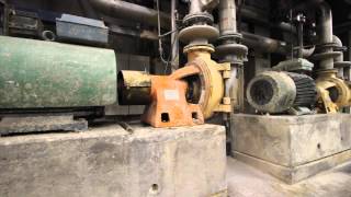 Paper pulp recycling mill