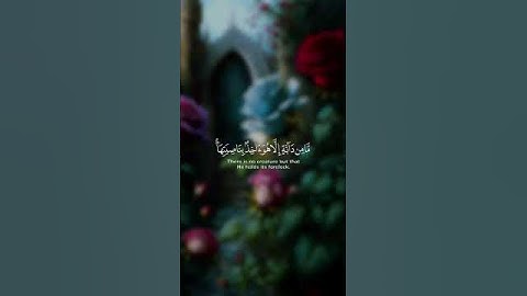 {اني توكلت على الله ربي وَرَبِّكُمْ ما من دابة إلا هو آخذ بناصيتها إن ربي على صراط مستقيم} سورة هود
