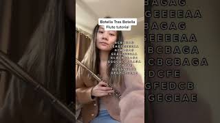 Botella Tras Botella Flute Tutorial