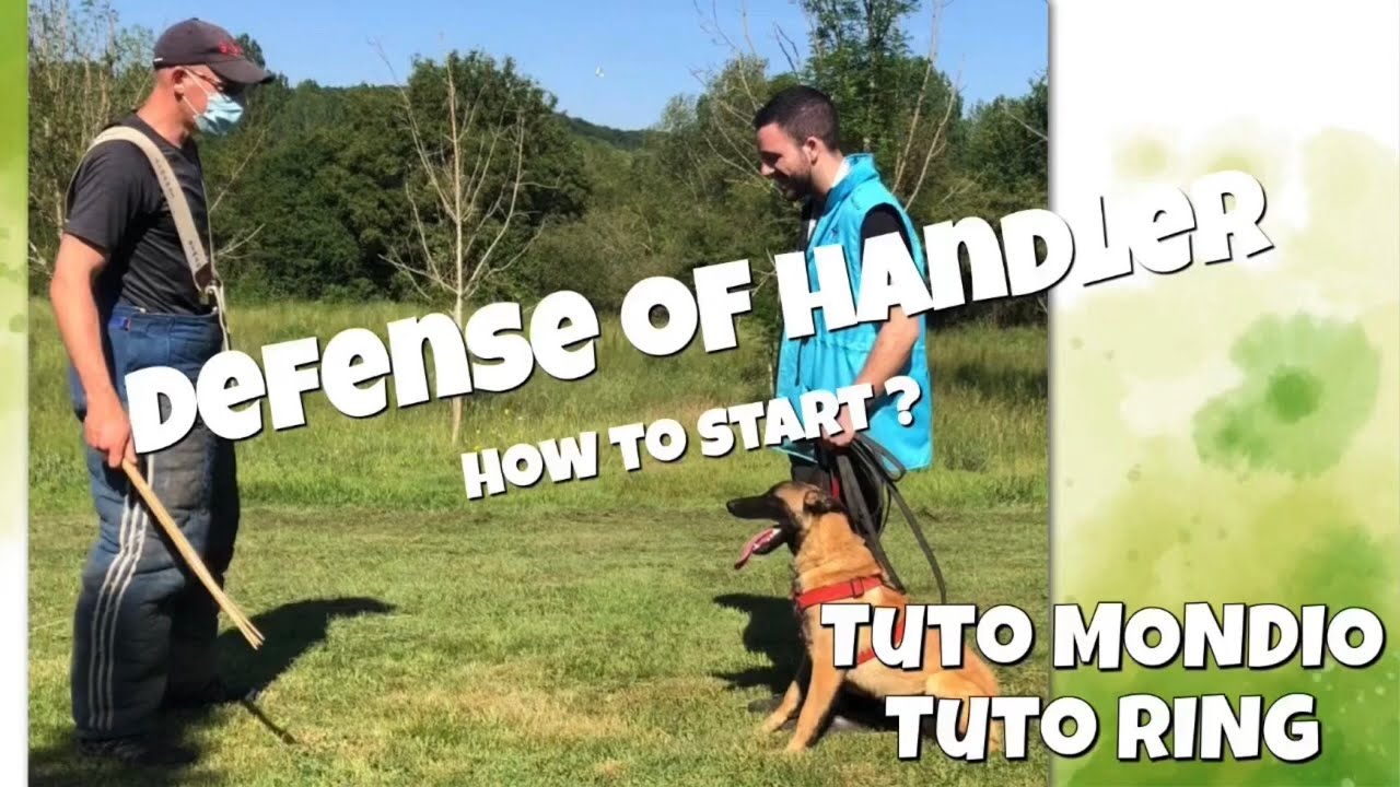 Unleash the K9 Power : Secrets to a Strong handler-Dog Defense in French Ring Competition 🏆🐕🐾