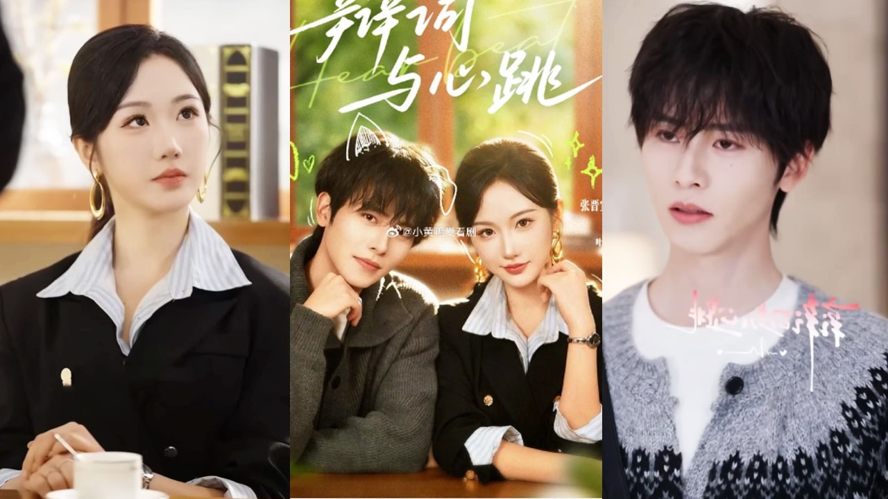 Nữ luật sư lạnh lùng quyết thủ thân như ngọc cho đến khi gặp anh nhạc sĩ sói chó liền si mê ko ngớt