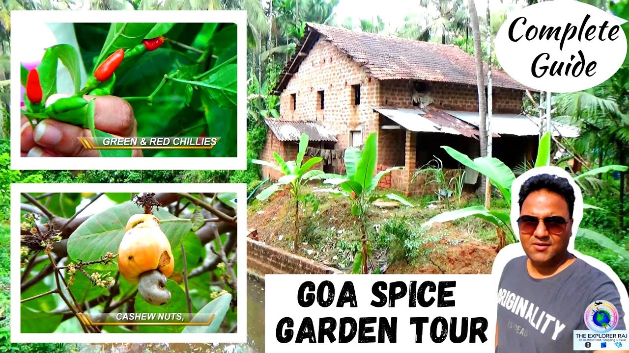 Goa Spice Garden Places to Visit in Goa Sahakari Spice Farm Guide