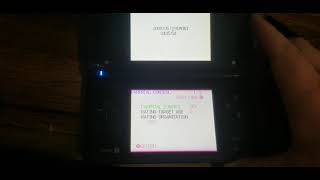 Details Nintendo DSi Settings Prototype (SDK 7739) News
