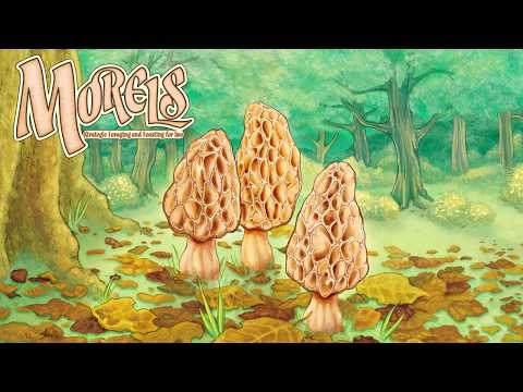 https://play.google.com/video/lava/web/player/yt:movie:GPfokDZRv3Q