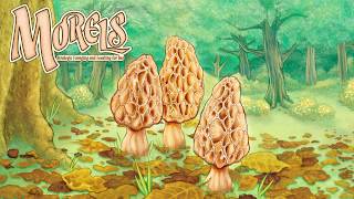 Morels Trailer - De