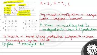 Match the following columns. \begin{tabular}{llll} \hline & Column I & & Column II \\ \hline A. ...