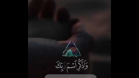 { إِنَّ لَكَ فِي النَّهَارِ سَبْحًا طَوِيلًا } المزمل القارئ/ سالم الرويلى🌿