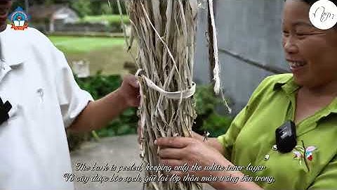 CUỘC THI VIDEO CLIP TIẾNG ANH NĂM 2025: Vũ Minh Hoàng, Lớp 11 Lý, trường THPTChuyên