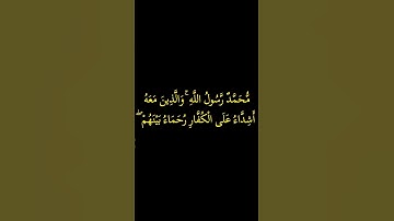 كروما# محمد رسول الله والذين معه أشداء على الكفار# سورة الفتح#الشيخ سعدالغامدي#قراءن كريم#راحة نفسية
