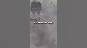 Retrieving the flight recorder ✈️ #zerosievert #gaming #gamingclips #twitch #shorts #fyp