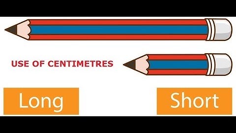 Class 3 NCERT Mathematics - Math Magic / Chapter 4 / Long and Short - Use of Centimetres