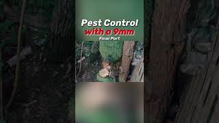 is a 9mm too much for Chipmunks?