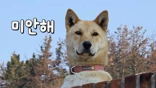 다 생각이 있습니다