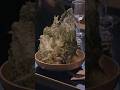 Surreal Fusion Cuisine Meets Cesar Salad | Rebel Kitchens