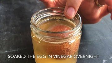 What Happens to an Egg When it is Soaked in Vinegar overnight?