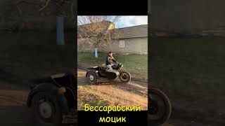 Бессарабский моцик