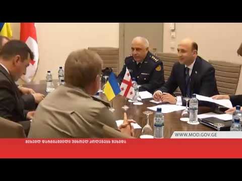 მიხეილ დარჩიაშვილი უცხოელ კოლეგებს შეხვდა