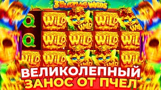 ВЕЛИКОЛЕПНЫЙ ЗАНОС ОТ ПЧЕЛ В 3 BUZZING WILDS!!!! ЗАНОСЫ В 3 BUZZING WILDS!