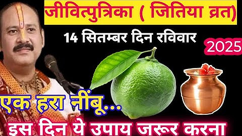 14 सितंबर जीवित्पुत्रिका /जितिया व्रत के दिन एक हरा नींबू वाला उपाय जरूर करें || Pradeep Ji Mishra