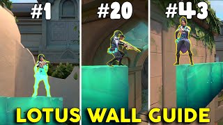 The ULTIMATE Lotus Wall Guide Tutorial