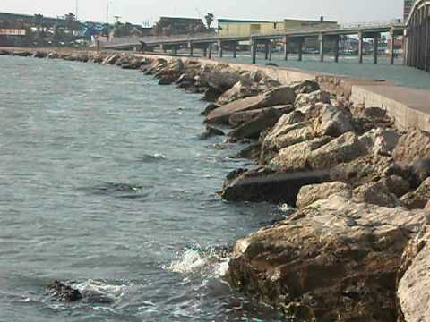 Corpus Christi, tx bay fishing