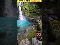 boiling river of Amazon forest #viral #shorts #animals