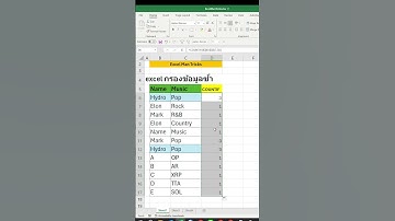 การกรองข้อมูลซ้ำใน Excel ด้วย Countif และ Filter | วิธีใช้งาน Excel เบื้องต้น #excel #exceltricks