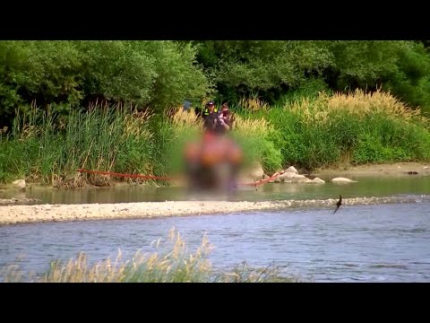 ოქროს მოწმის მესამე ჩვენება და ახალი დეტალები შაქარაშვილის საქმეში