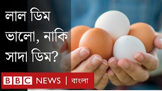 কোন ডিমে পুষ্টিগুণ বেশি, লাল ডিম নাকি সাদা ডিম?