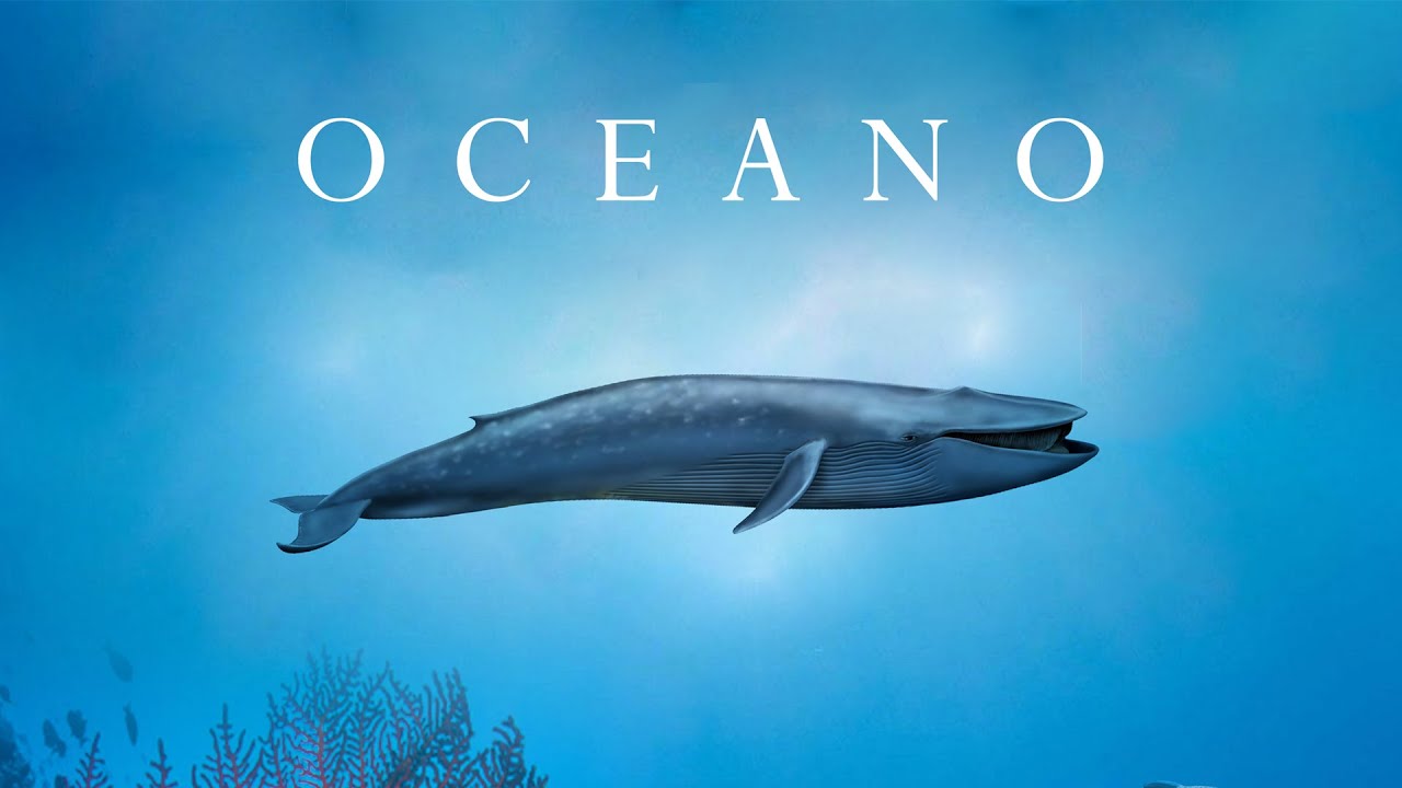 Watch Fabio di Biase - Oceano on YouTube Watch Fabio di Biase - Oceano on YouTube