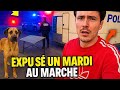 “Expulsé du marché par la police… un mardi en route vers Hericourt 🚴‍♂️🐕