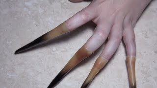Finger Extensions Diy