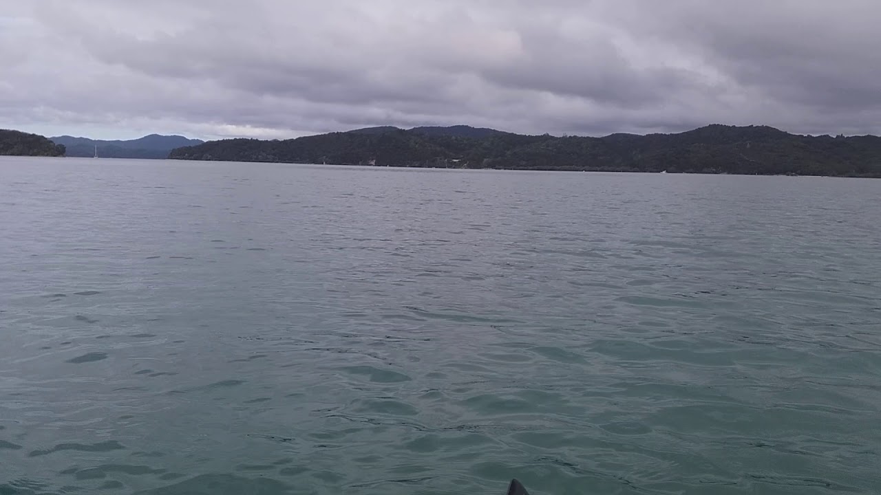 Russell kayaking Bay of Islands YouTube