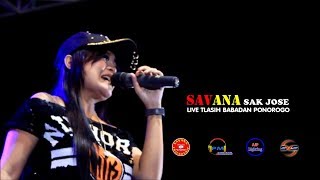 SAVANA SAK JOSE LIVE TLASIH BABADAN PONOROGO // SETANGKAI BUNGA PADI // ICHA KISWARA