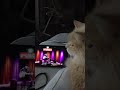 Greta loves the music. Mucky Duck livestream Pecos Hank.
