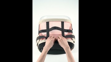 PIDAN PET BACKPACK CARRIER