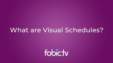 What are visual schedules?